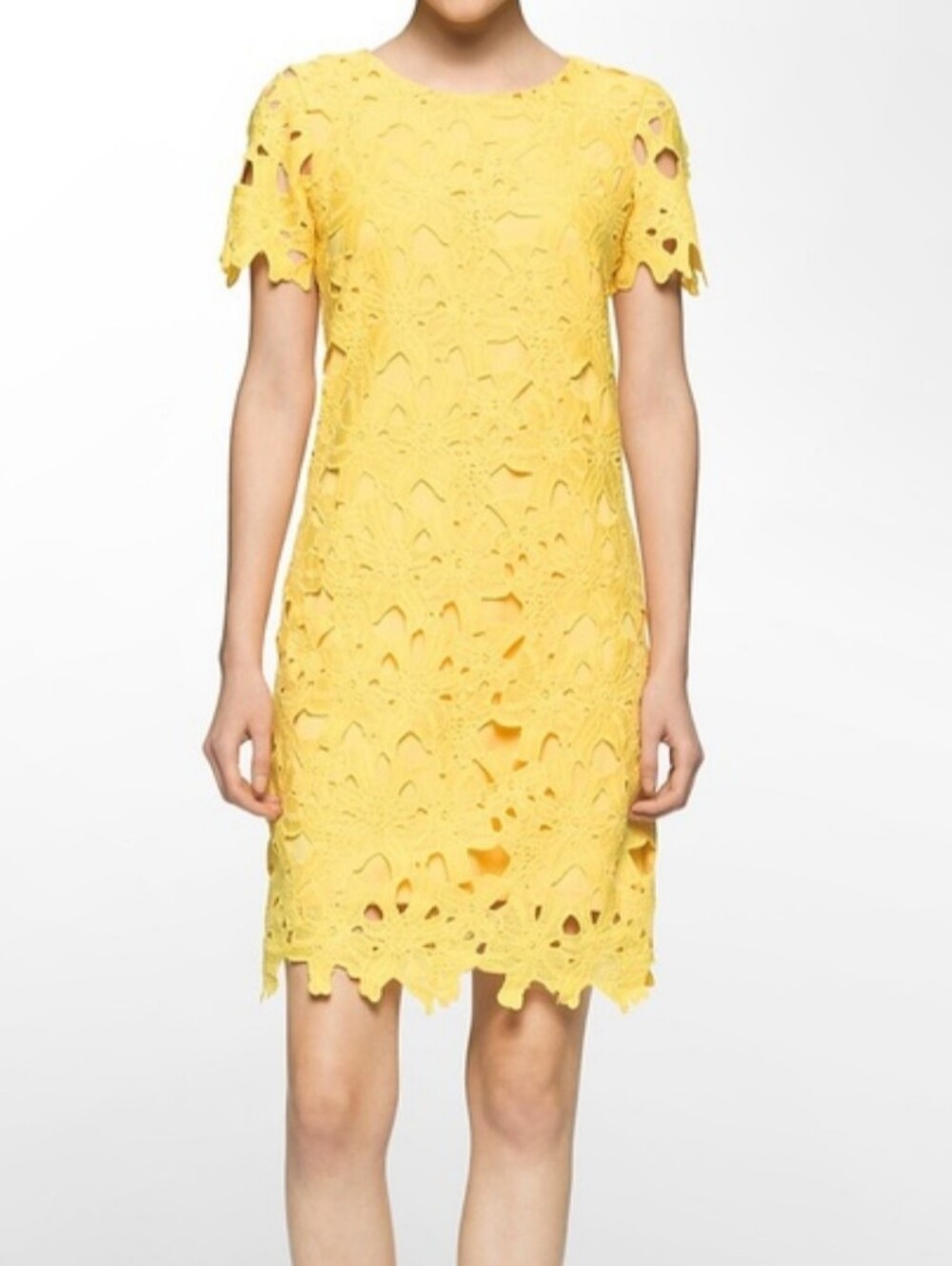 Calvin Klein Dress